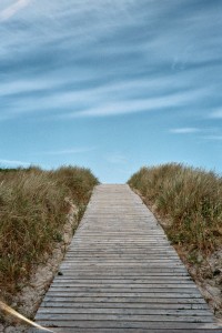 Der Weg in die Zukunft