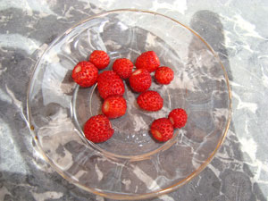 Erdbeeren_300